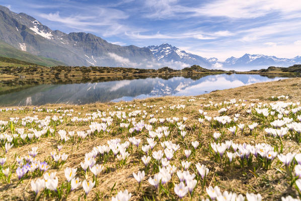 Cardeto lake in Orobie alps, Gromo in province of Bergamo, Lombardy, italy.