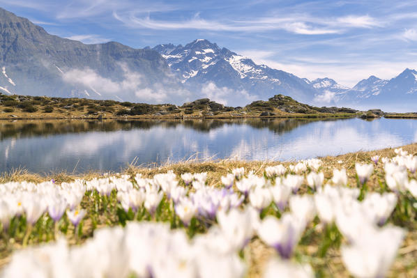 Cardeto lake in Orobie alps, Gromo in province of Bergamo, Lombardy, italy.