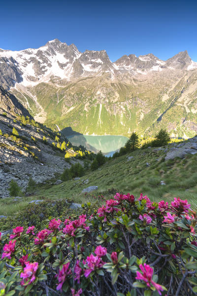 Lago dei Frati in Adamello park, Brescia province, Lombardy district, Italy, Europe.