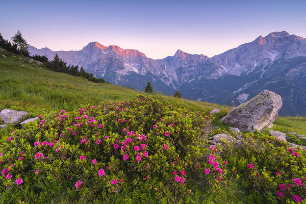 Summer season in Orobie alps, Zulino pass in Lombardy district, Bergamo province, Italy, Europe.