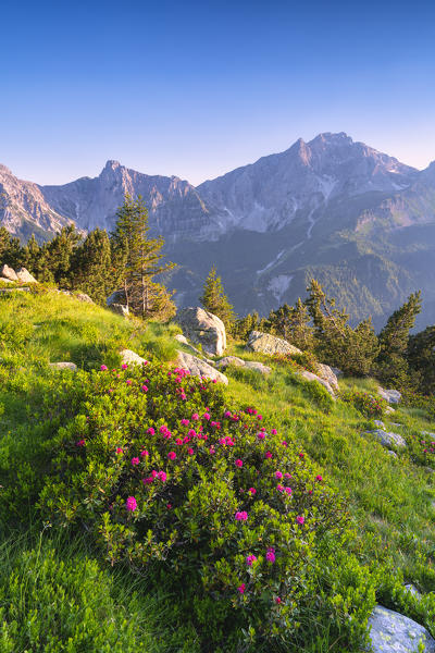 Summer season in Orobie alps, Zulino pass in Lombardy district, Bergamo province, Italy, Europe.