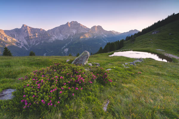 Summer season in Orobie alps, Zulino pass in Lombardy district, Bergamo province, Italy, Europe.