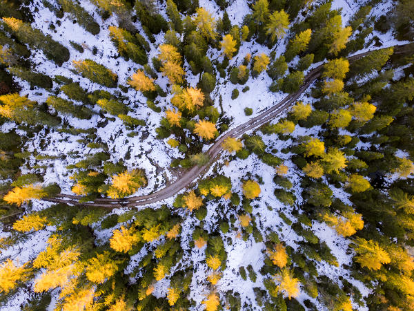 Alpine road of Giaupass aerial view in Dolomites, Unesco World Heritage site, Cortina d'Ampezzo, Veneto district, Italy, Europe.