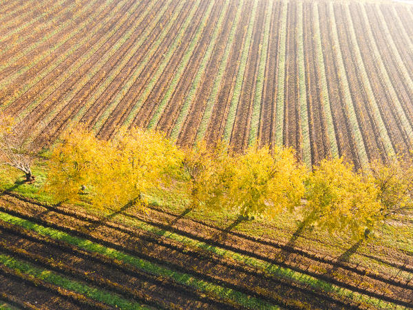 Aerial view of Franciacorta in autumn season, Brescia province, Lombardy district, Italy.