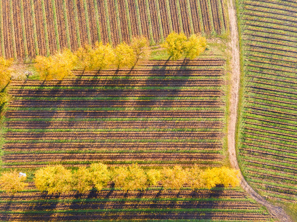 Aerial view of Franciacorta in autumn season, Brescia province, Lombardy district, Italy.