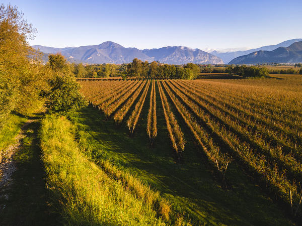 Aerial view of Franciacorta in autumn season, Brescia province, Lombardy district, Italy.