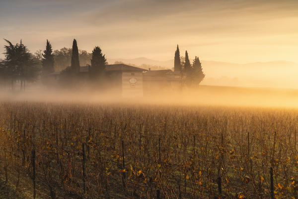 Autumn season in Franciacorta, Brescia province, Lombardy district, Italy, Europe.