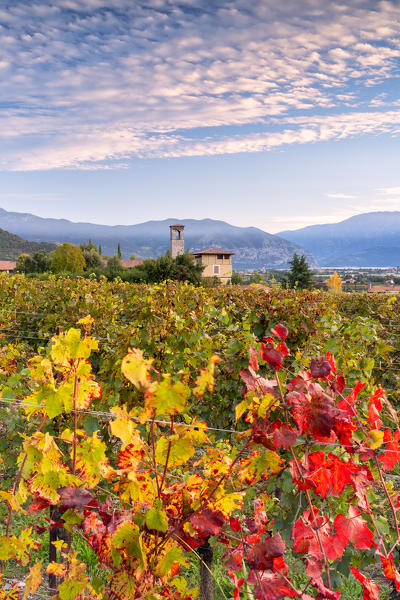 Autumn season in Franciacorta, Brescia province, Lombardy district, Italy, Europe.