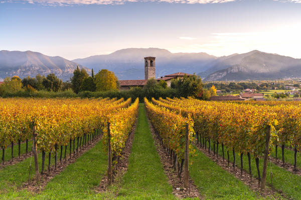 Autumn season in Franciacorta, Brescia province, Lombardy district, Italy, Europe.