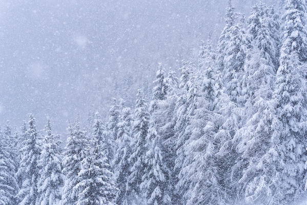 Winter season in Brescia prealpi, Brescia province, Lombardy district, Italy, Europe.