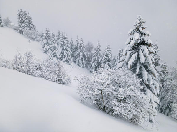 Winter season aerial view in Brescia prealpi, Brescia province, Lombardy district, Italy, Europe.