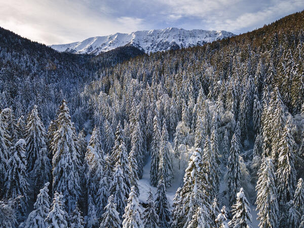 Mount Guglielmo aerial view from Palot valley, Lombardy, Brescia province, Italy, Europe.