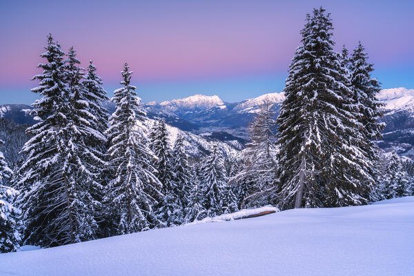 Sunrise in Presolana, Monte Pora, Orobie alps in Bergamo province, Lombardy,Italy, Europe.