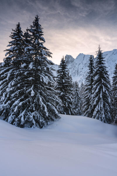 Sunrise in Schilpario, Seriana valley in Bergamo province, Lombardy district, Italy, Europe.