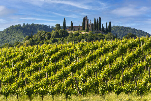 Spring season in Franciacorta, Brescia province, Lombardy, Italy.