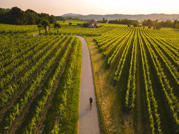 Cycling through the vineyards of Franciacorta at sunset, Brescia province, Lombardy, Italy.