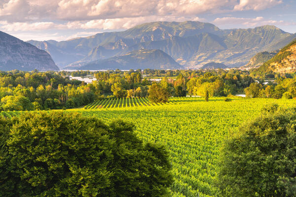 Franciacorta in summer season, Brescia province in Lombardy district, Italy, Europe.