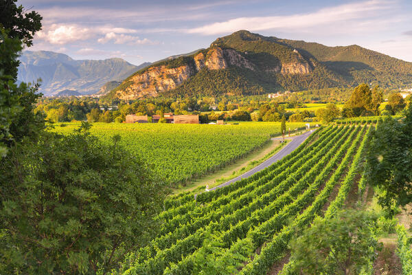 Franciacorta in summer season, Brescia province in Lombardy district, Italy, Europe.