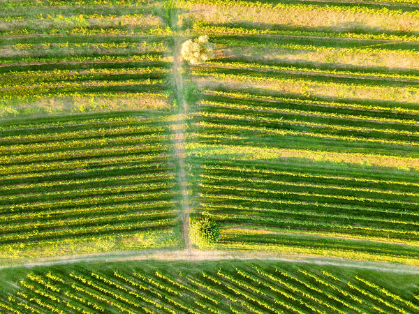 Aerial view from Franciacorta in Autumn season, Lombardy district, Italy, Europe.