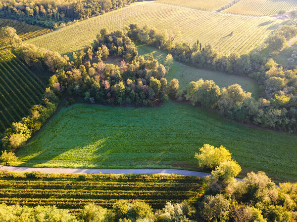 Aerial view from Franciacorta in Autumn season, Lombardy district, Italy, Europe.