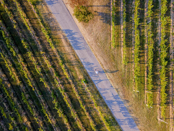 Aerial view from Franciacorta in Autumn season, Lombardy district, Italy, Europe.