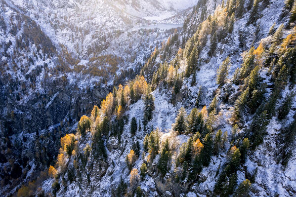 Autumn season in Adamello park, Aviolo lake in Brescia province, Lombardy district, Italy, Europe.