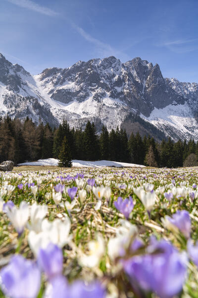 Spring season in Orobie alps, Bergamo province in Lombardy district, Italy.