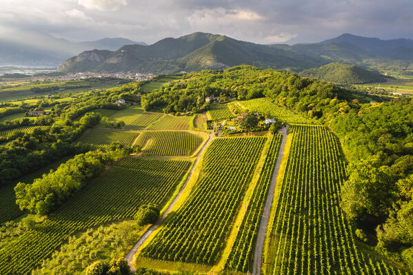 Franciacorta vineyards aerial view at sunset in Brescia province, Lombardy district, Italy.