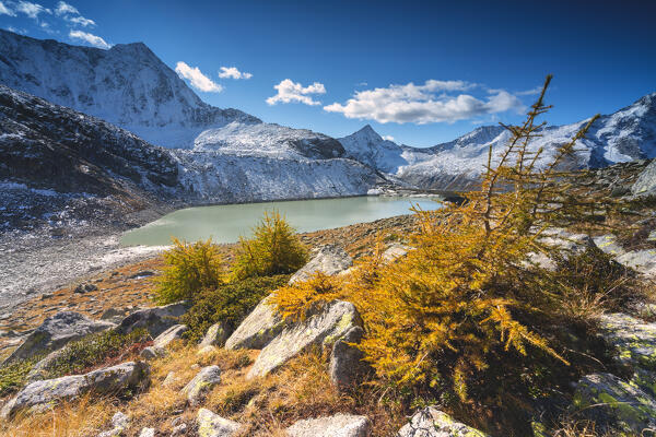 Autumn season in Adamello park, vallecamonica in Brescia province, Lombardy district, Italy.