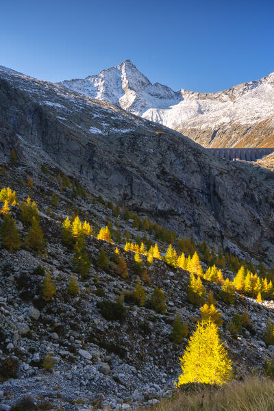 Autumn season in Adamello park, vallecamonica in Brescia province, Lombardy district, Italy.