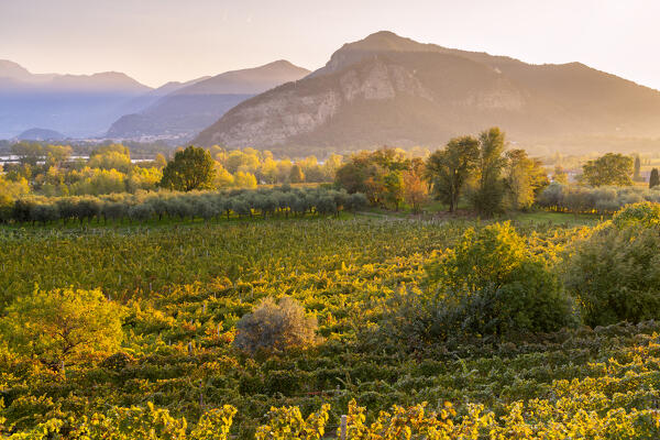 Autumn season in Franciacorta, Brescia province in Lombardy district, Italy.