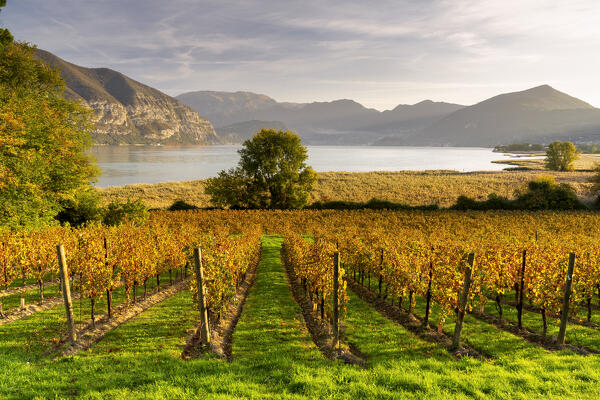 Autumn season in Franciacorta, Brescia province in Lombardy district, Italy.