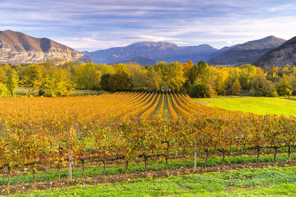 Autumn season in Franciacorta, Brescia province in Lombardy district, Italy.