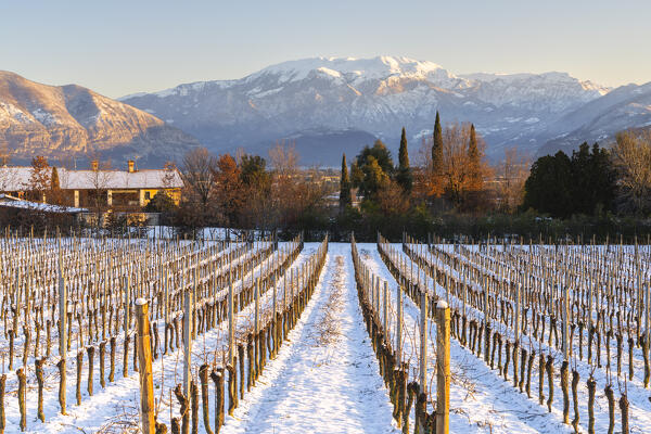 Sunrise in Franciacorta after a snowfall, Brescia province in Lombardy district, Italy.