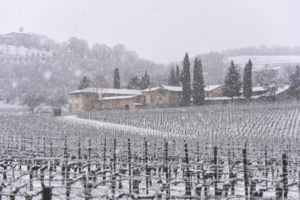 Franciacorta vineyards during a snowfall, Brescia province in Lombardy district, Italy.