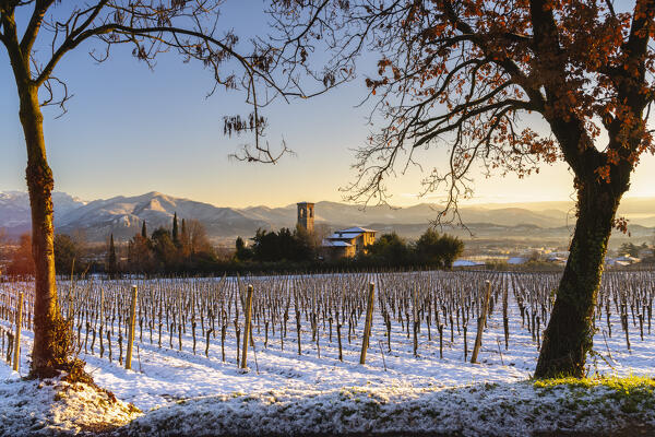 Sunrise in Franciacorta after a snowfall, Brescia province in Lombardy district, Italy.