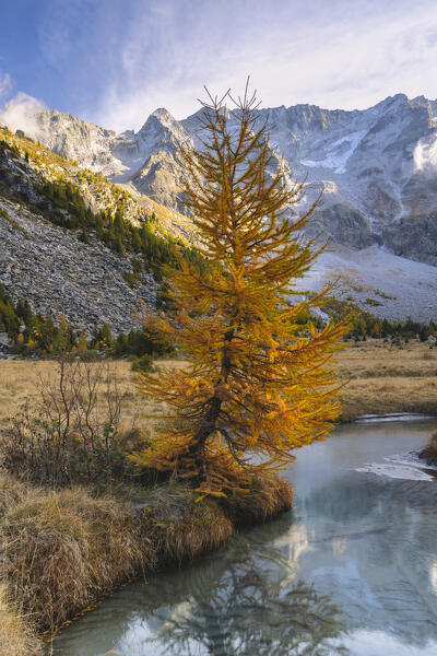 Sunset in Adamello park, Brescia province in Lombardy district, Italy, Europe.