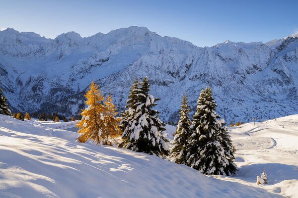 Landscape of Autumn and winter season in Tonale pass, Brescia province in Lombardy district, Italy, Europe.