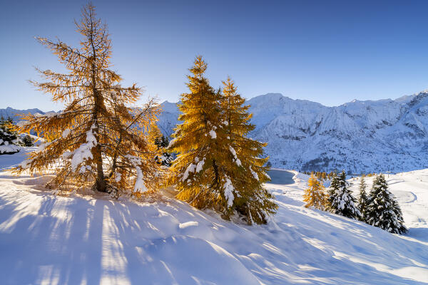 Landscape of Autumn and winter season in Tonale pass, Brescia province in Lombardy district, Italy, Europe.