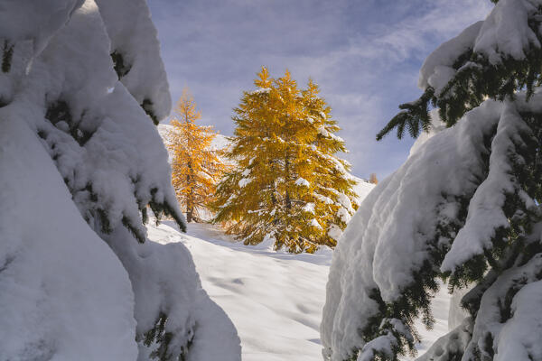 Landscape of Autumn and winter season in Tonale pass, Brescia province in Lombardy district, Italy, Europe.