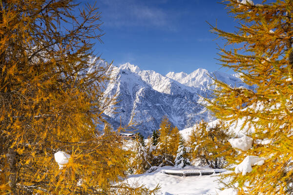 Landscape of Autumn and winter season in Tonale pass, Brescia province in Lombardy district, Italy, Europe.