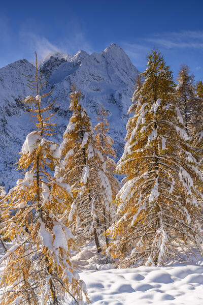 Landscape of Autumn and winter season in Tonale pass, Brescia province in Lombardy district, Italy, Europe.