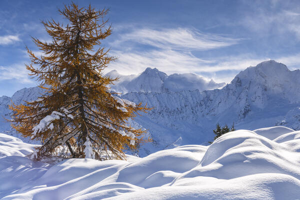 Landscape of Autumn and winter season in Tonale pass, Brescia province in Lombardy district, Italy, Europe.