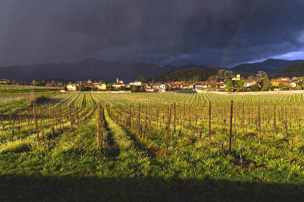 Storm in Franciacorta vineyards, Brescia province in Lombardy district, Italy, Europe.