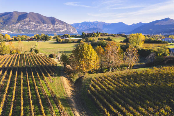 Aerial view from Franciacorta vineyards country, Brescia province in Lombardy district in Italy, Europe.