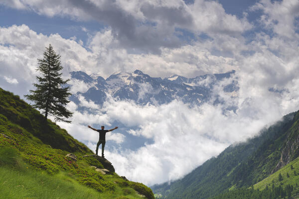 Hiker in Italian alps, Canè valley in Stelvio national park, Brescia province in Lombardy district, Italy.