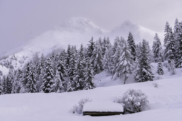 Winter Season in Orobie Alps, Schilpario in Bergamo province, Lombardy district, Italy, Europe.