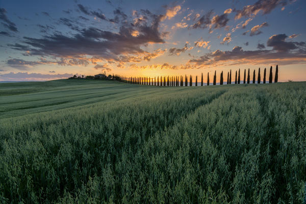 The colors of the Val d'Orcia, Poggio Covili, Tuscany, Italy