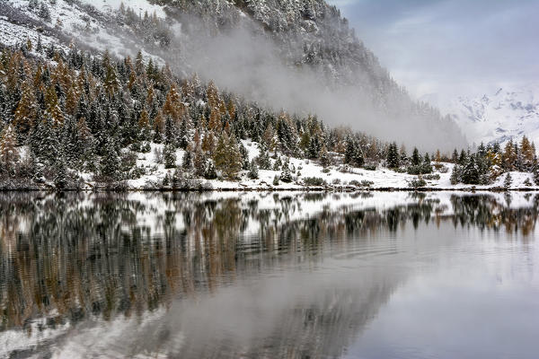 Details of the lake, Aviolo lake. Adamello Park, province of Brescia, Lombardia, Italy