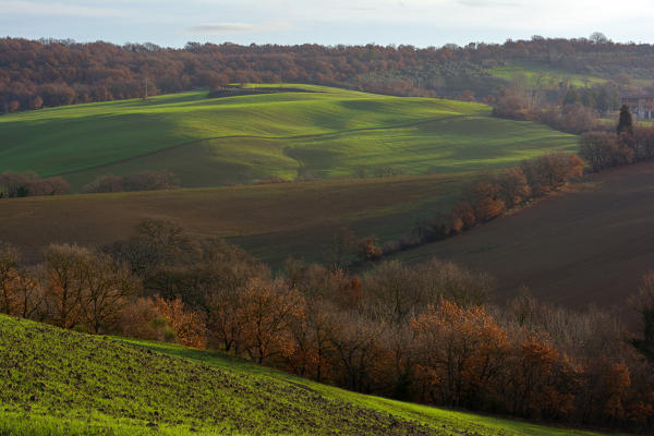 Details of the Val d' Orcia , the provinces of Siena , Tuscany , Italy